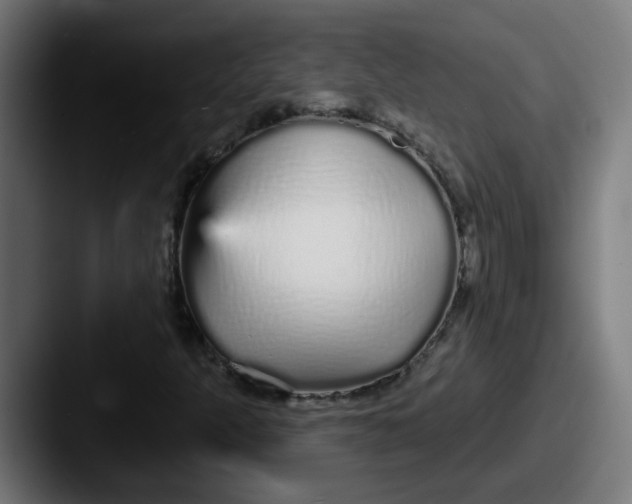 X0000087571301200705181135