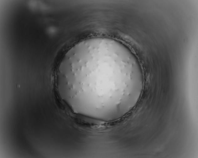 X0000087571302200705181135