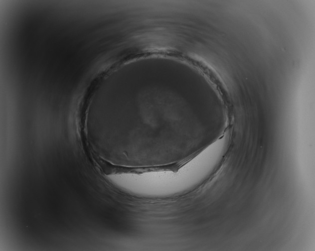 X0000087571306200705181135