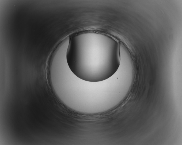 X0000087571308200705181135