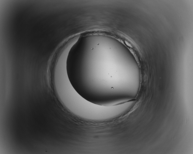 X0000087571310200705181135