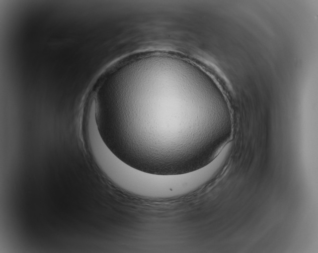 X0000087571312200705181135