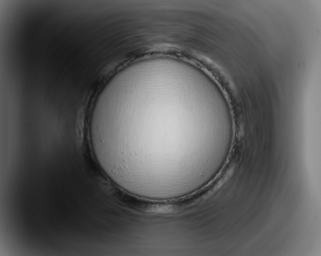 X0000087571313200705181135