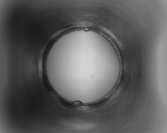 X0000087571315200705181135