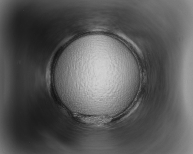 X0000087571317200705181135