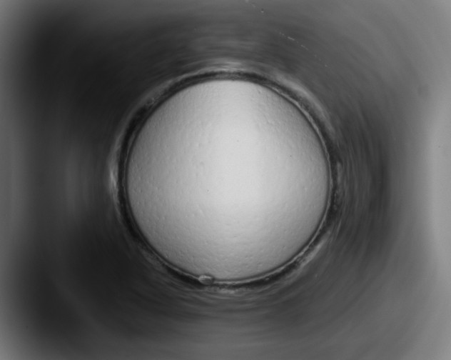 X0000087571318200705181135