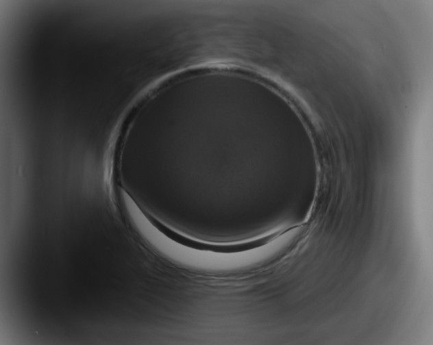 X0000087571319200705181135