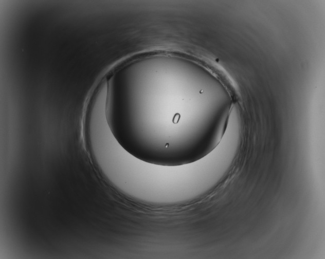 X0000087571320200705181135