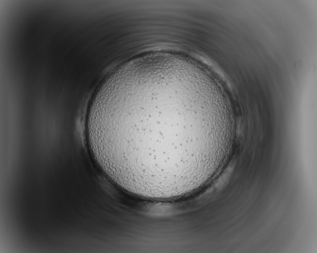 X0000087571321200705181135