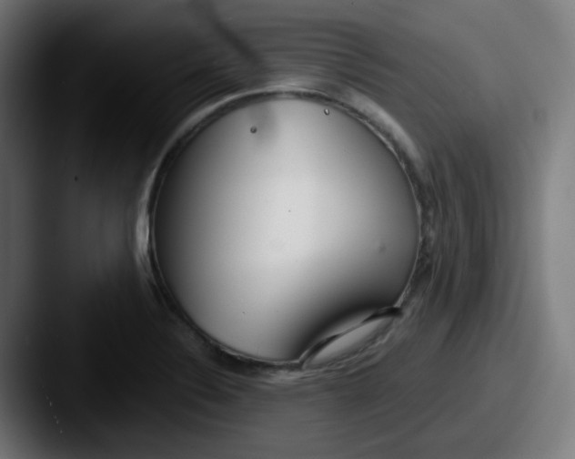 X0000087571324200705181136