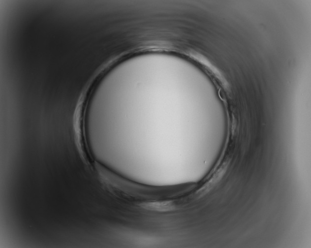 X0000087571325200705181136