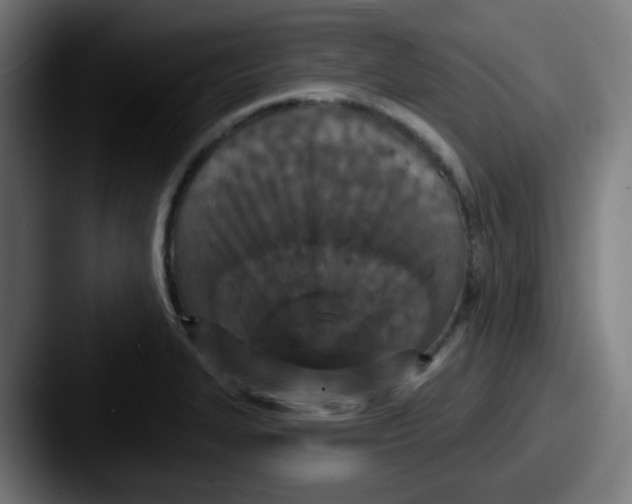 X0000087571327200705181136