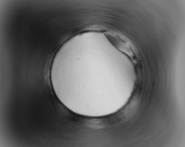 X0000087571329200705181136