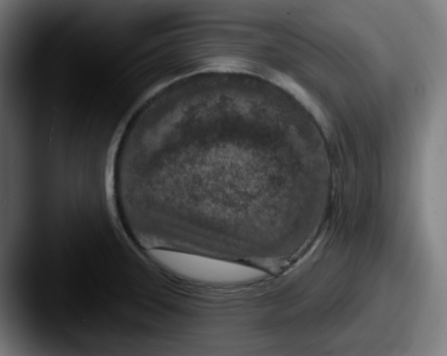 X0000087571331200705181136