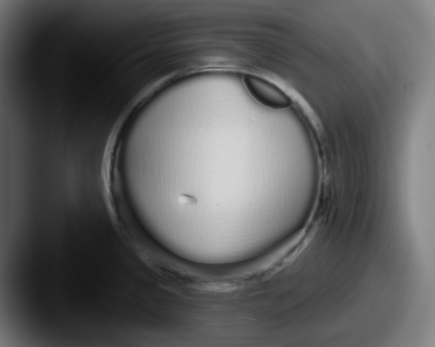 X0000087571333200705181136