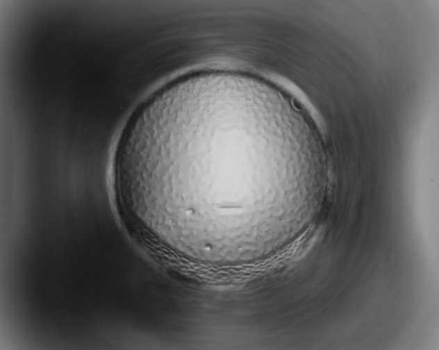 X0000087571335200705181136