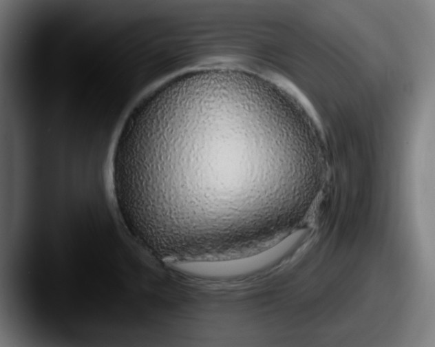 X0000087571336200705181136