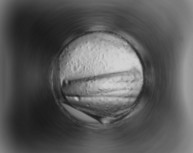 X0000087571337200705181136