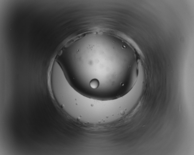 X0000087571338200705181136