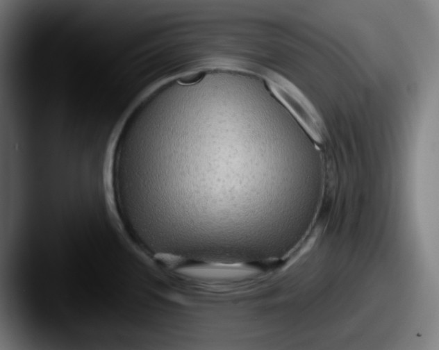 X0000087571339200705181136