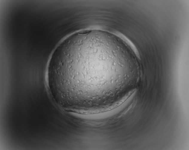 X0000087571340200705181136