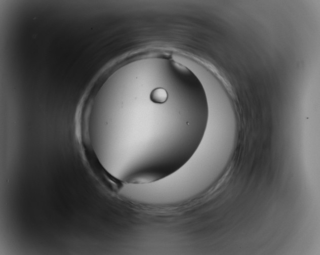 X0000087571342200705181136