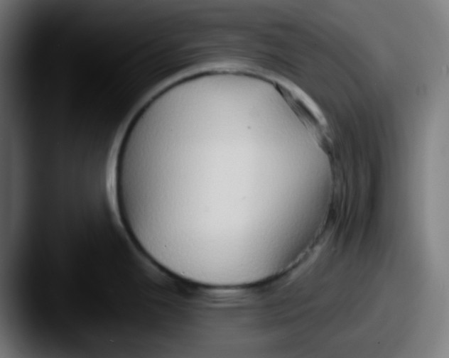 X0000087571343200705181136