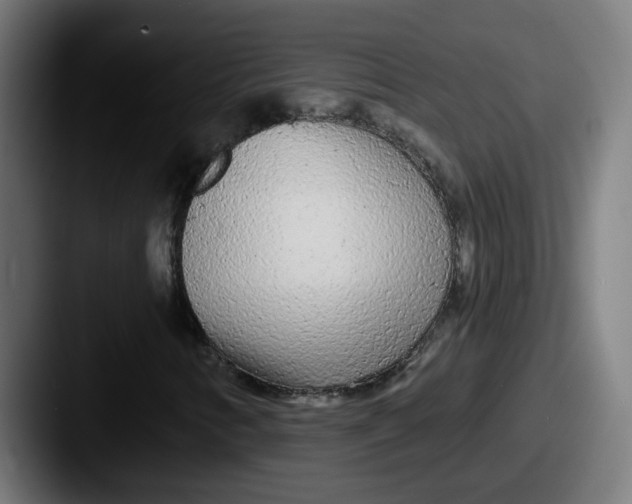 X0000087571346200705181135