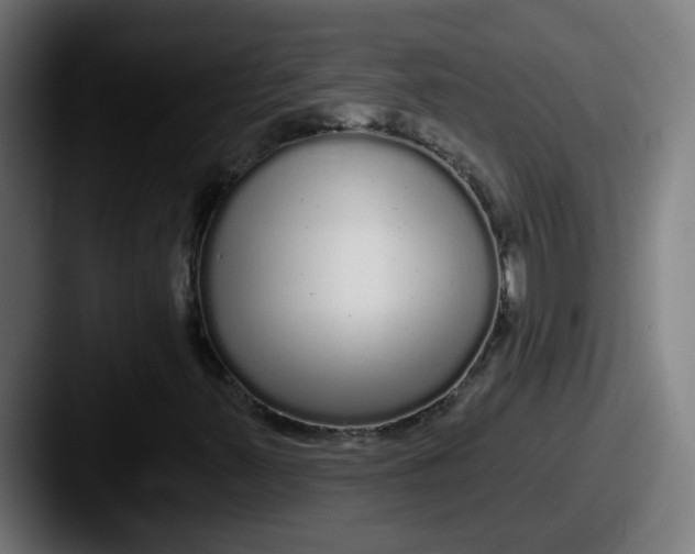 X0000087571347200705181135