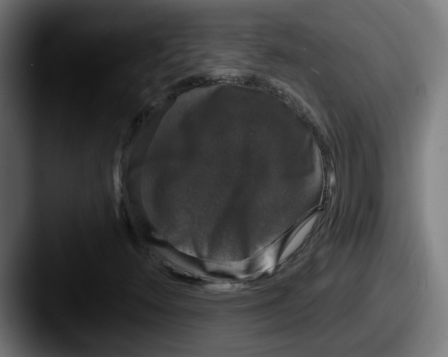 X0000087571348200705181135