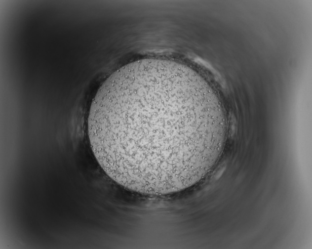 X0000087571350200705181135