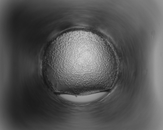 X0000087571355200705181135