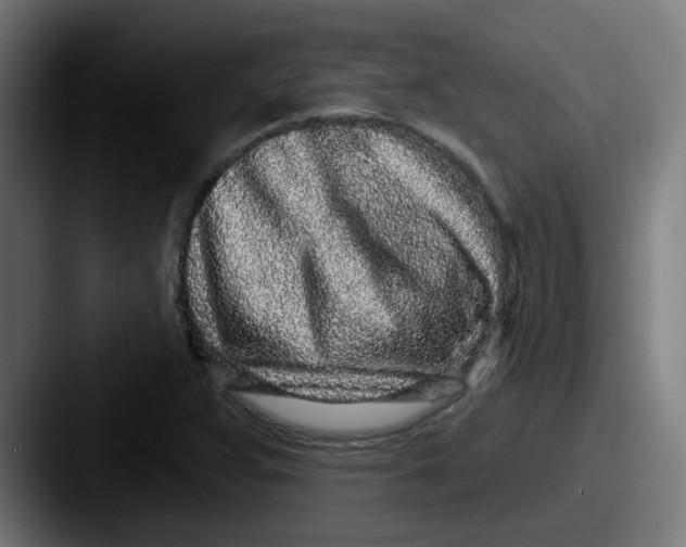 X0000087571359200705181135