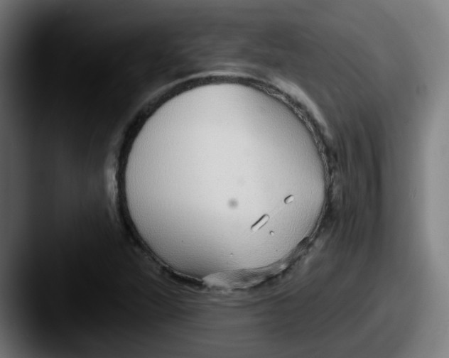 X0000087571360200705181135