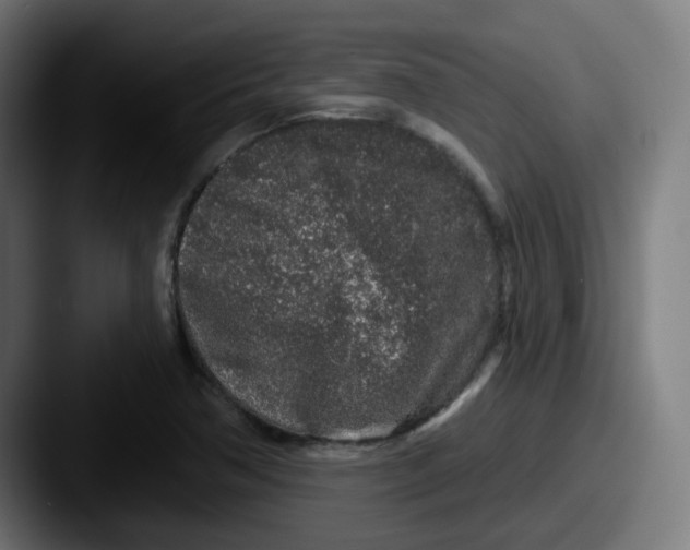 X0000087571362200705181135