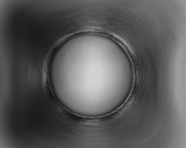 X0000087571363200705181135