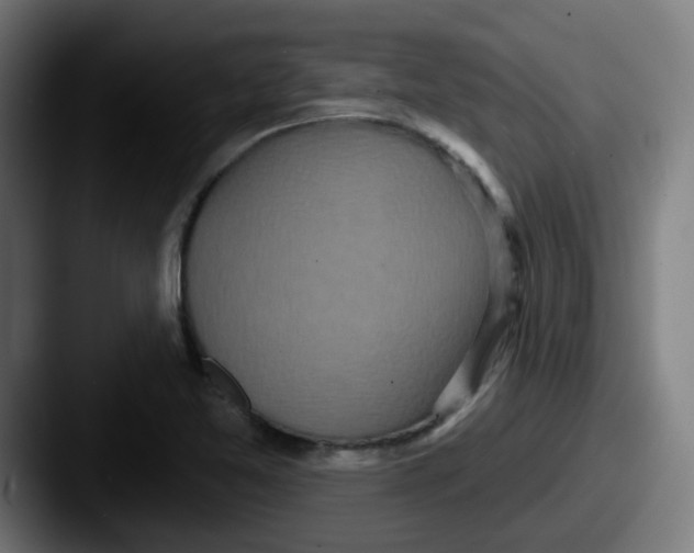 X0000087571365200705181135