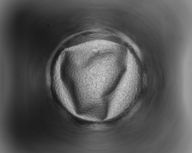 X0000087571368200705181135