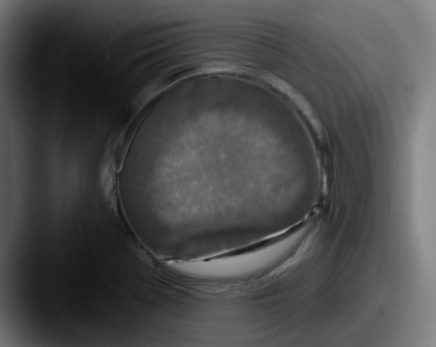 X0000087571369200705181135