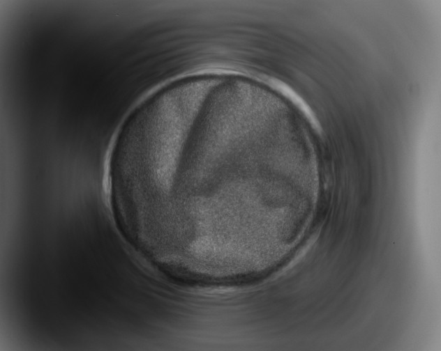 X0000087571372200705181135