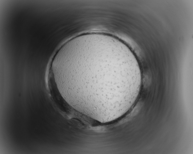 X0000087571374200705181135