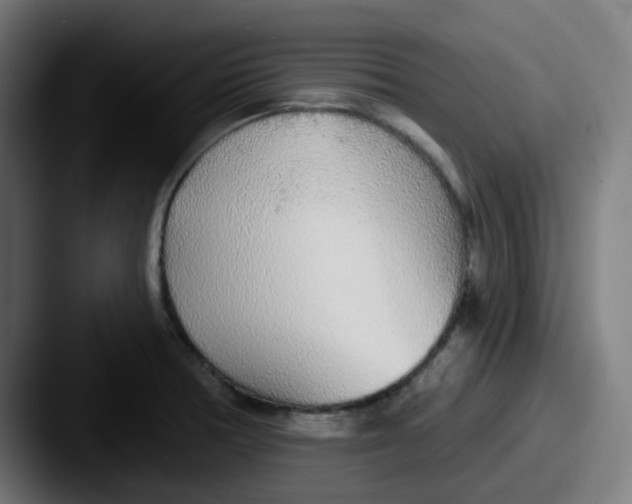 X0000087571378200705181135