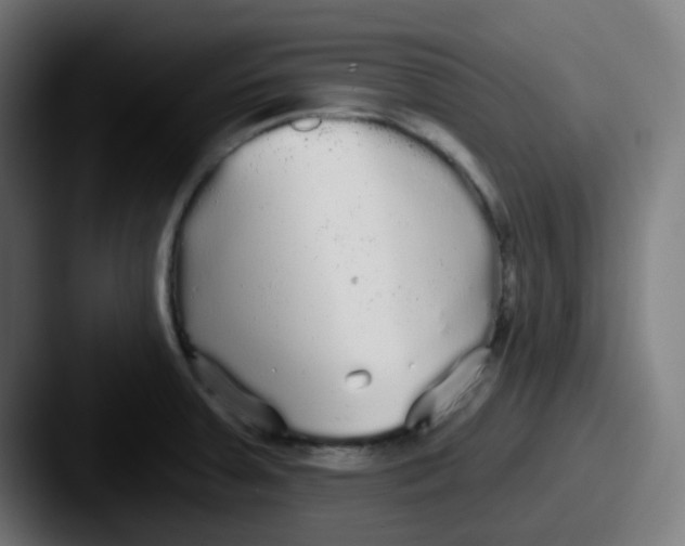 X0000087571379200705181135