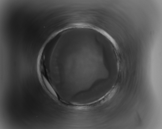 X0000087571381200705181135