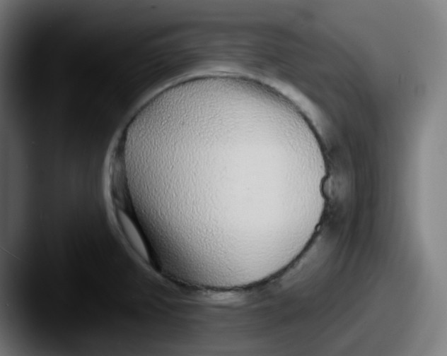 X0000087571382200705181135