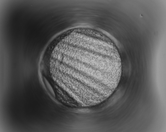 X0000087571383200705181135