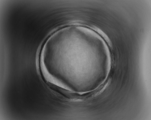 X0000087571384200705181135