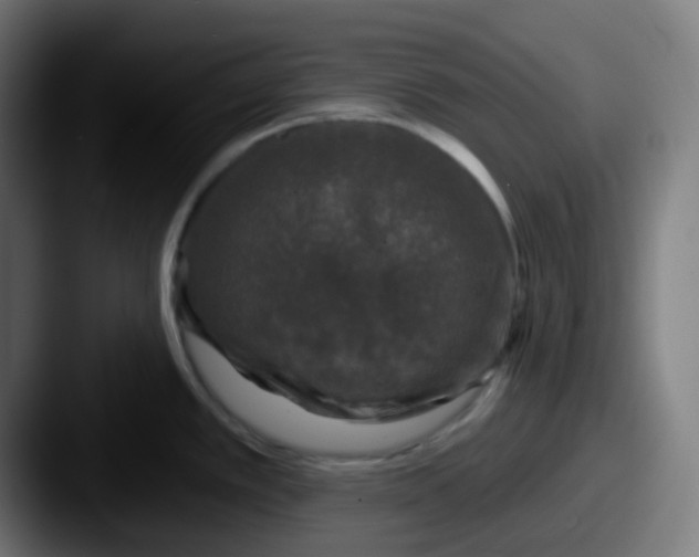 X0000087571389200705181135