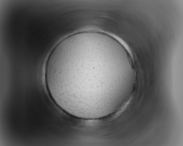 X0000087571390200705181135