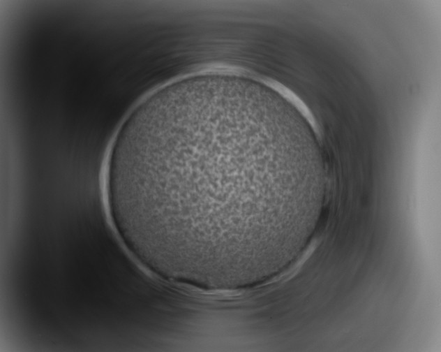 X0000087571391200705181135